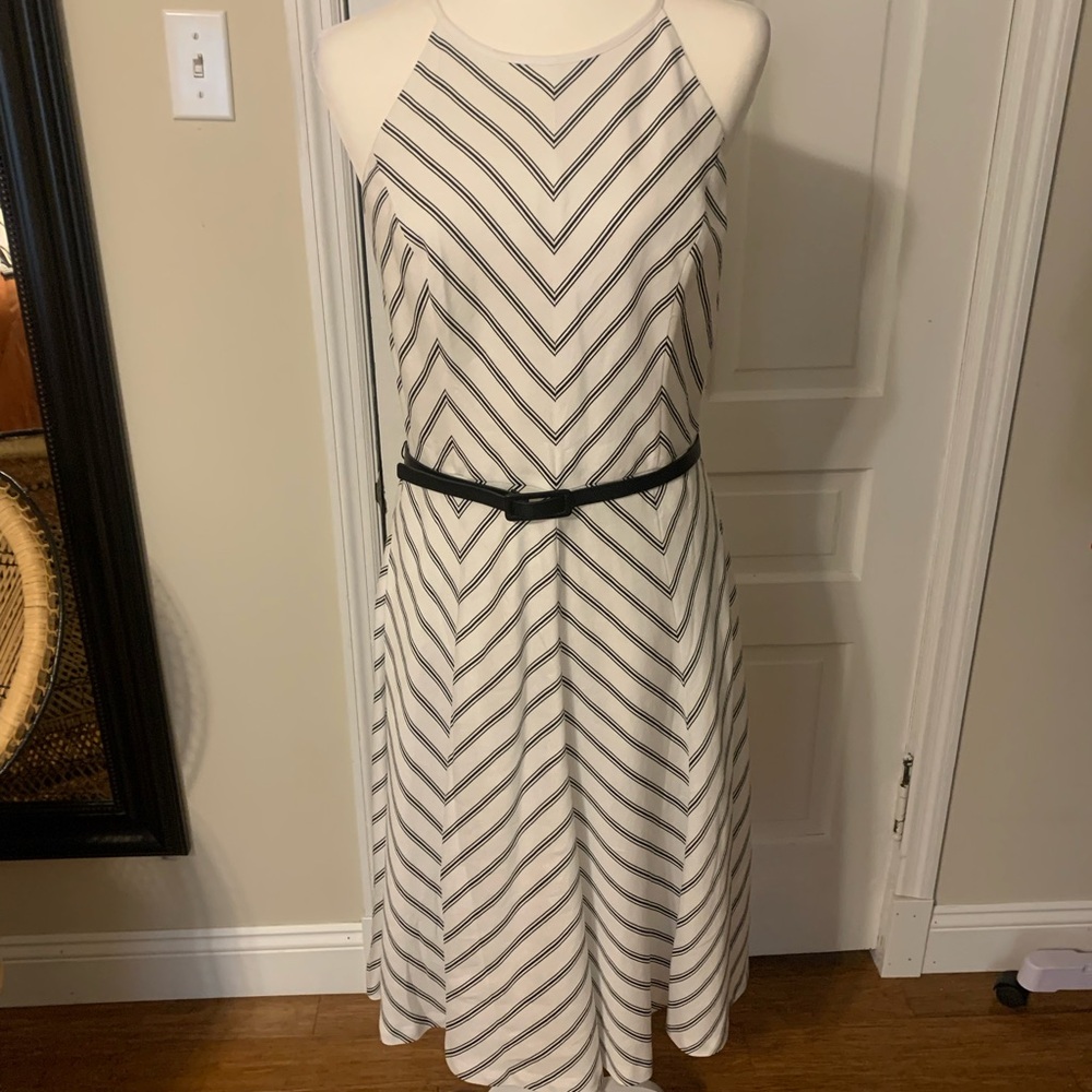White House Black Market NWT